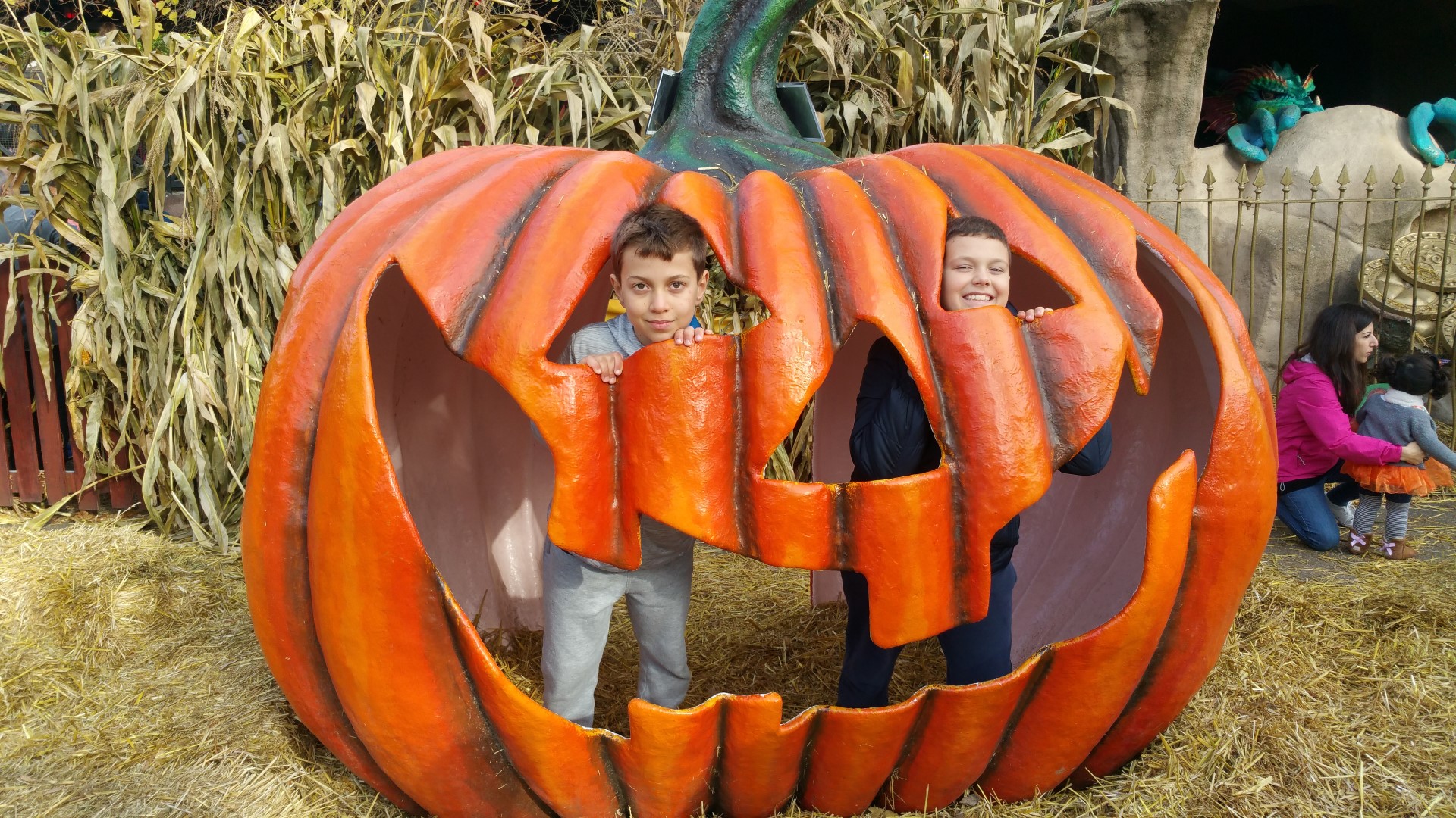 20161027 113252 (Large)